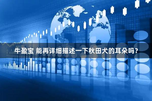 牛盈宝 能再详细描述一下秋田犬的耳朵吗？