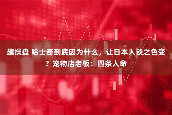 趣操盘 哈士奇到底因为什么，让日本人谈之色变？宠物店老板：四条人命