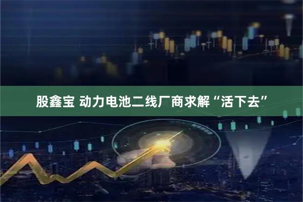 股鑫宝 动力电池二线厂商求解“活下去”