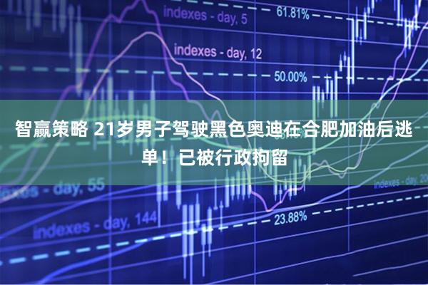 智赢策略 21岁男子驾驶黑色奥迪在合肥加油后逃单！已被行政拘留