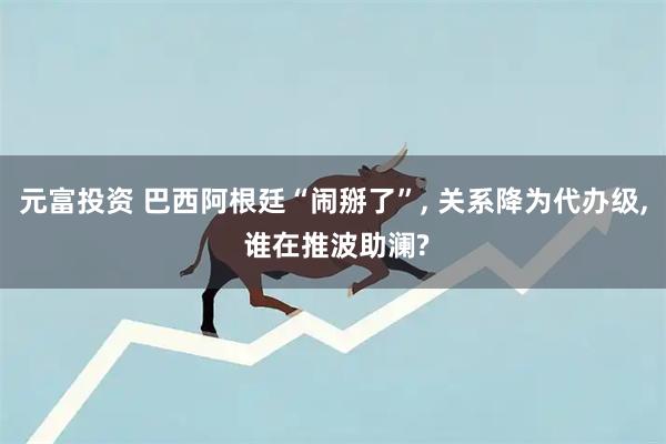 元富投资 巴西阿根廷“闹掰了”, 关系降为代办级, 谁在推波助澜?